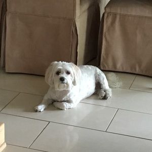 Meet your Posher, Vicky